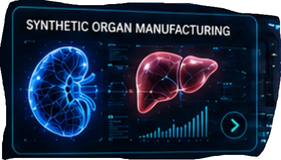 Synthetic organ manufacturing and maturation rendering