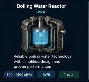 Boiling Water Reactor public classification card