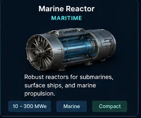 Marine Reactor public classification card